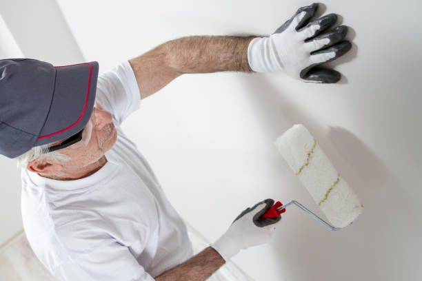 Best Fire-Damaged Drywall Repair  in Blaine, WA